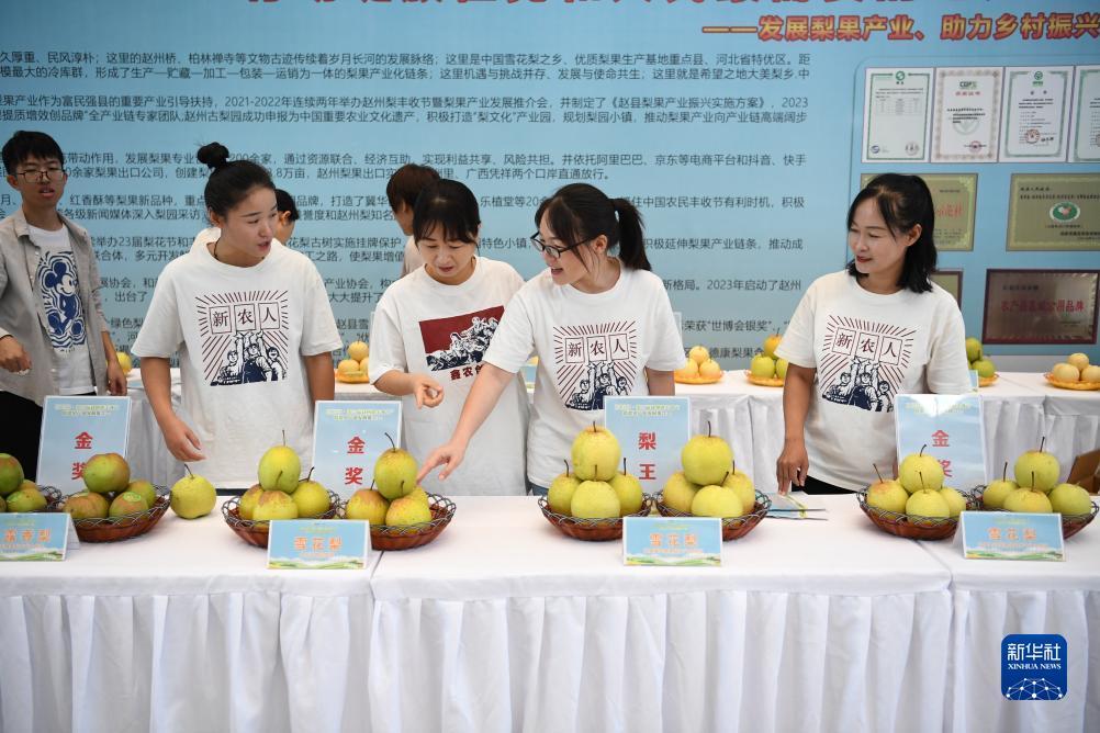 可以赢钱提现金
